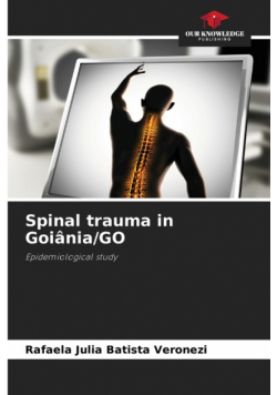 Spinal trauma in Goiânia/GO