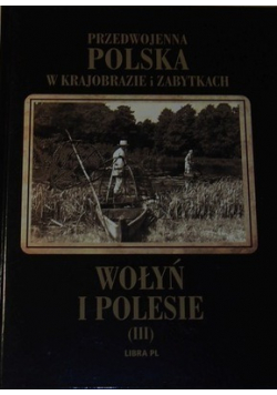 Przedwojenna Polska w krajobrazie i zabytkach Wołyń i Polesie