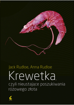 Krewetka czyli nieustające poszukiwania różowego złota