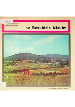 W Beskidzie Niskim