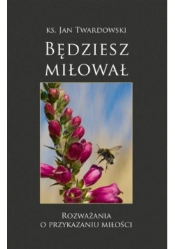 Będziesz miłował Rozważania o przykazaniu miłości