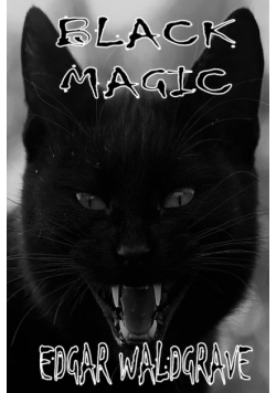 Black Magic - The Witch Chronicles - Rise Of The Dark Witch High King - Book Two