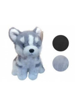 Husky pluszowy 25cm mix