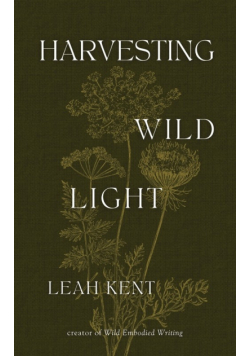 Harvesting Wild Light