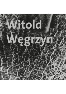 Witold Węgrzyn Nieuchwytna materialność