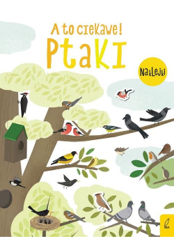 A to ciekawe! Ptaki