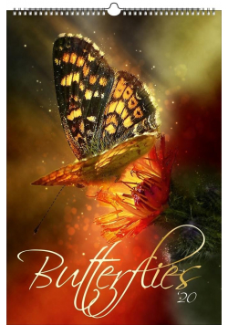 Kalendarz 2020 Wieloplanszowy Butterflies