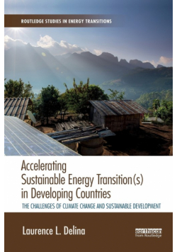 Accelerating Sustainable Energy Transition(s) in Developing Countries