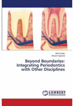 Beyond Boundaries