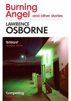Burning Angel and Other Stories