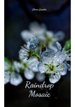 Raindrop Mosaic