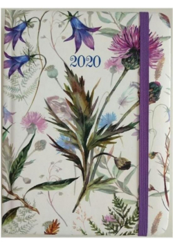 Kalendarz dzienny B6 2020 Chabry ALBI