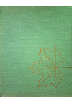 Arbres des parcs et jardins