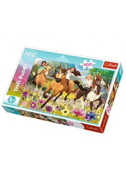 Puzzle 100 Podążaj za marzeniami TREFL