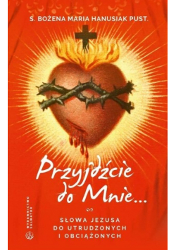 Przyjdźcie do mnie. Słowa Jezusa do utrudzonych i obciążonych