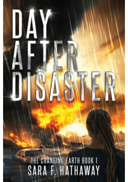 Day After Disaster