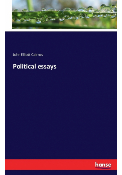 Political essays