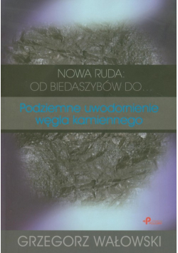 Nowa Ruda od biedaszybów do... Podziemne uwodornienie węgla kamiennego