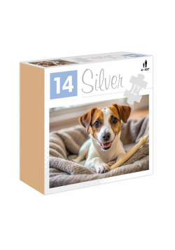 Silver Puzzle 12 El. Pies