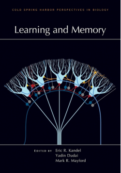 Learning and Memory