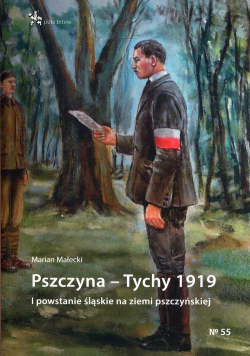 Pszczyna - Tychy 1919 I powstanie śląskie na ziemi pszczyńskiej