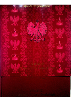 Polska Stolice województw