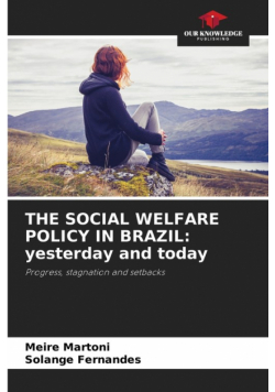 The Social Welfare Policy In Brazil