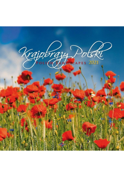 Kalendarz 2021 KD-35 Krajobrazy Polski AVANTI