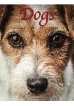 Dogs