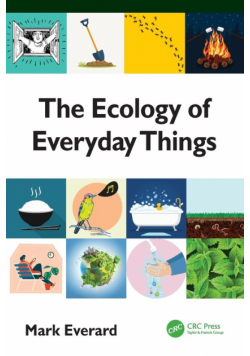 The Ecology of Everyday Things