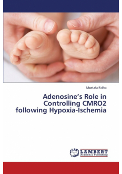 Adenosine's Role in Controlling Cmro2 Following Hypoxia-Ischemia