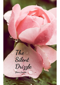 The Silent Drizzle