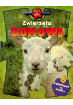 Zwierzęta Domowe 6 Układanek Puzzle