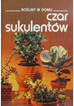Rośliny w domu Czar sukulentów