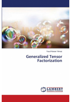 Generalized Tensor Factorization