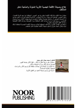 علاج وصيانة الأقنعة الجصية الأثرية الملونة والمذهبة داخل المتاحف