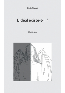 L'idéal existe-t-il ?