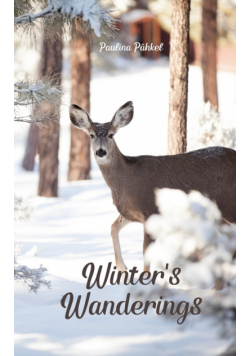 Winter's Wanderings