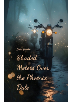 Shaded Motors Over the Phoenix Dale