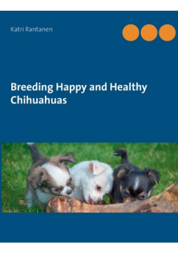Breeding Happy and Healthy Chihuahuas