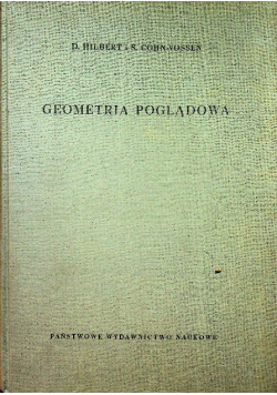 Geometria poglądowa