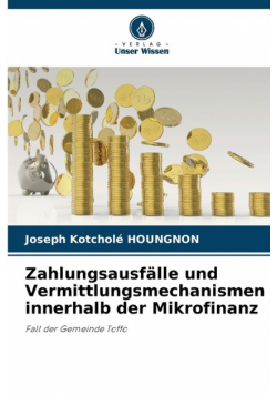 Zahlungsausfälle und Vermittlungsmechanismen innerhalb der Mikrofinanz
