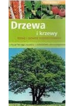 Drzewa i krzewy