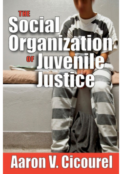 The Social Organization of Juvenile Justice
