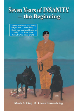 Seven Years of Insanity-the Beginning