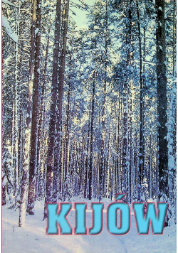 Kijów Bykownia