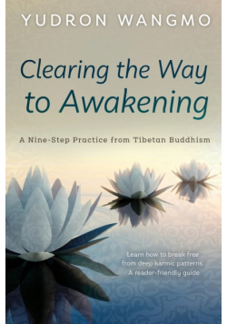 Clearing the Way to Awakening