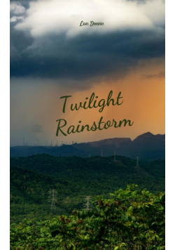 Twilight Rainstorm