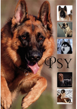 Psy