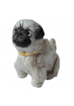 Interaktywny piesek - Mops